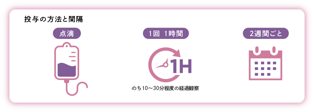 投与の間隔と方法